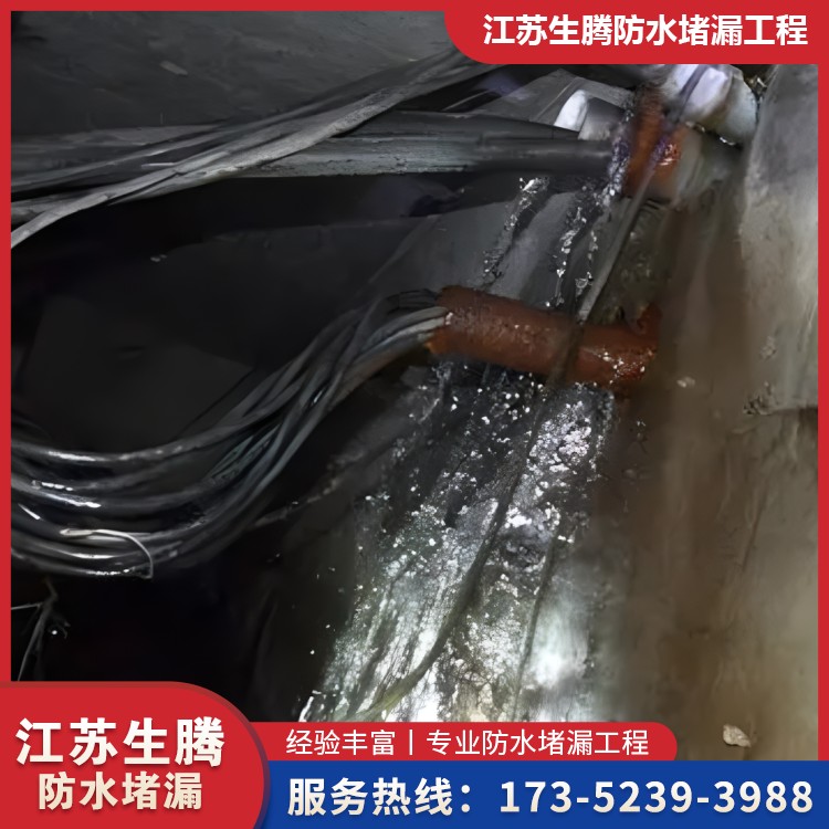 ���¹���©